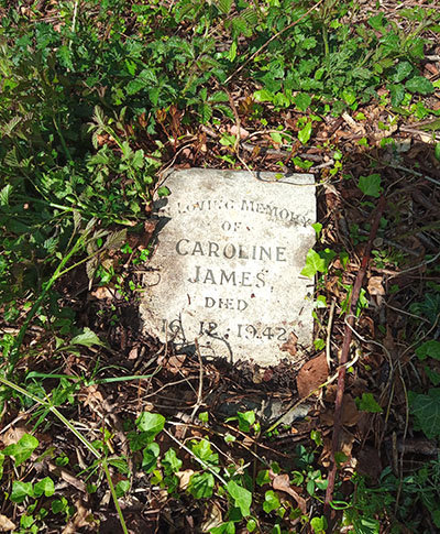 Caroline (Mabel) James